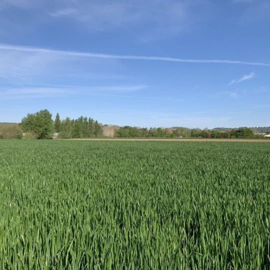  L`AUTRE AGENCE : Terrain | BOURRAN (47320) | 0 m2 | 48 000 € 