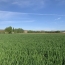  L`AUTRE AGENCE : Terrain | BOURRAN (47320) | 0 m2 | 48 000 € 