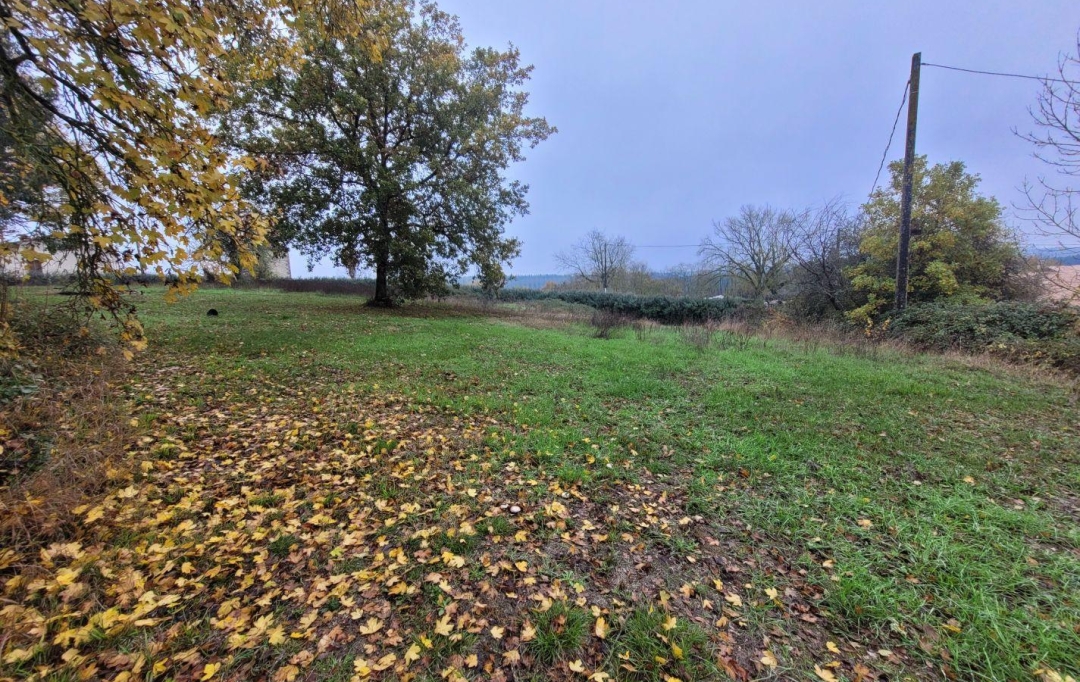 L`AUTRE AGENCE : Terrain | VERTEUIL-D'AGENAIS (47260) | 0 m2 | 41 000 € 