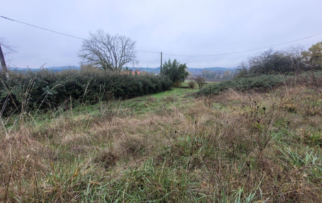 L`AUTRE AGENCE : Terrain | VERTEUIL-D'AGENAIS (47260) | 0 m2 | 41 000 € 