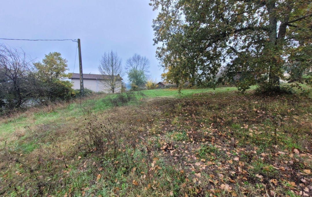 L`AUTRE AGENCE : Terrain | VERTEUIL-D'AGENAIS (47260) | 0 m2 | 41 000 € 