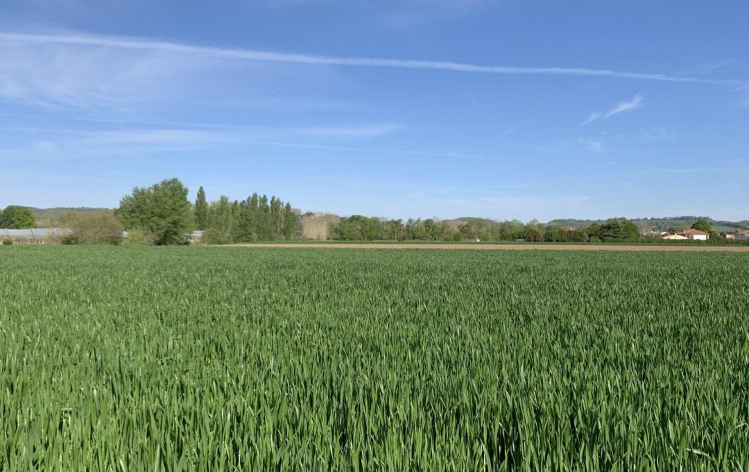 L`AUTRE AGENCE : Terrain | BOURRAN (47320) | 0 m2 | 48 000 € 
